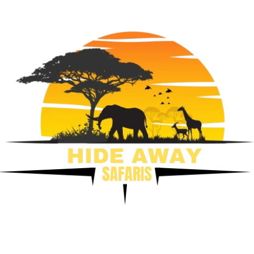 android-chrome-512x512