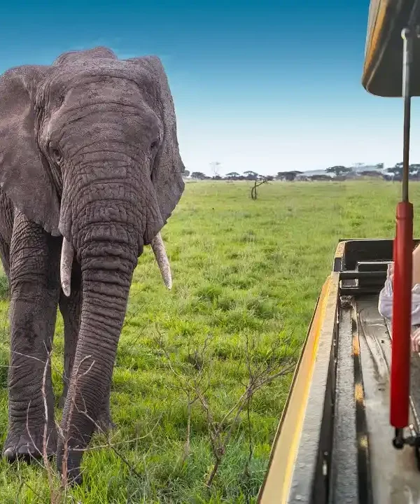 Serengeti National Park