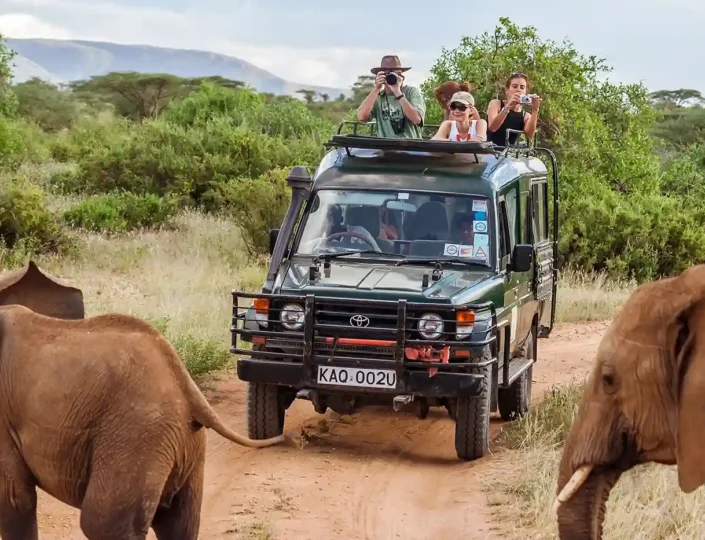 Kenya Safari Itineraries